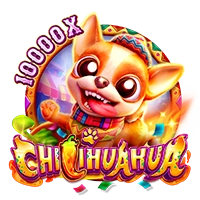 Facai : CHILIHUAHUA - ZONABET138